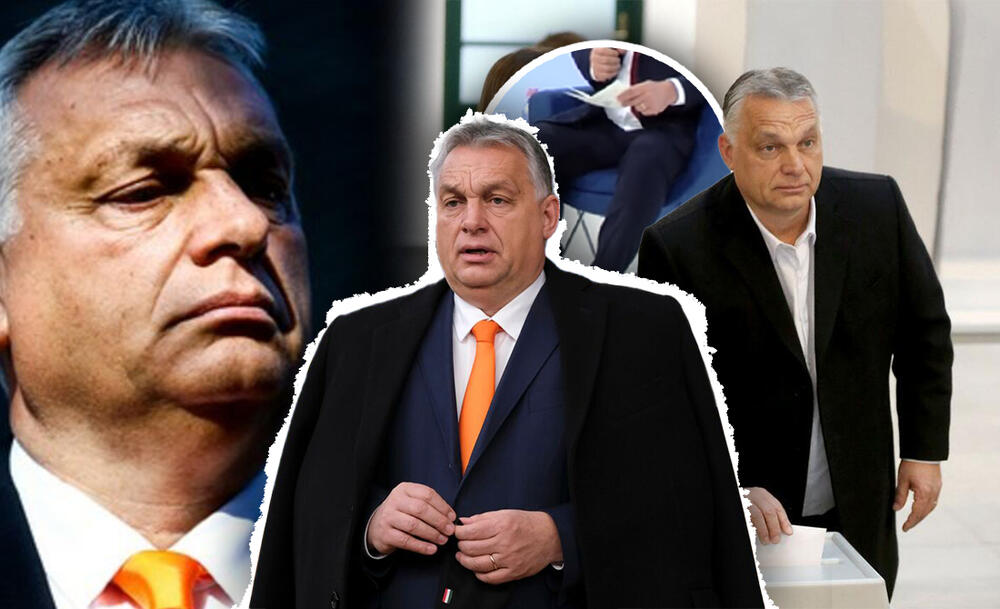 Orban Nosi Ovo Gde God Da Krene Veruje Se Da Mu Donosi Sre U Imao Ih