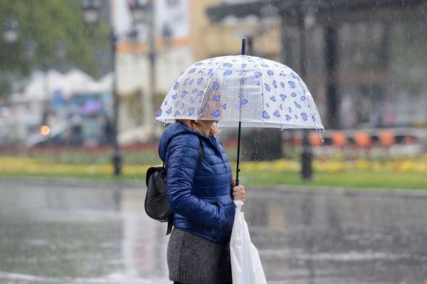 DANAS DVA GODIŠNJA DOBA U DANU: Sunčano jutro, popodne - pljusak!