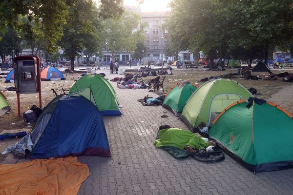 Beograđanin pištoljem pokušao da opljačka migrante, njih 30 ga brutalno pretuklo!