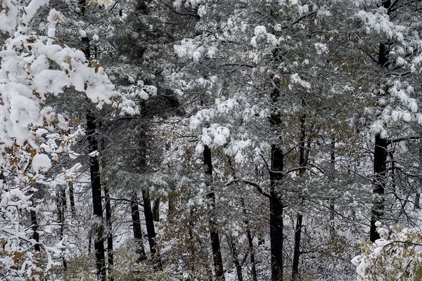 Stiže nam prava zima: Narednih dana kišovito, hladno, sa suznežicom i snegom