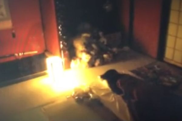 Ovaj video-klip vam donosi sreću: Na običnom snimku pojavljuje se neobičan gost! (VIDEO)