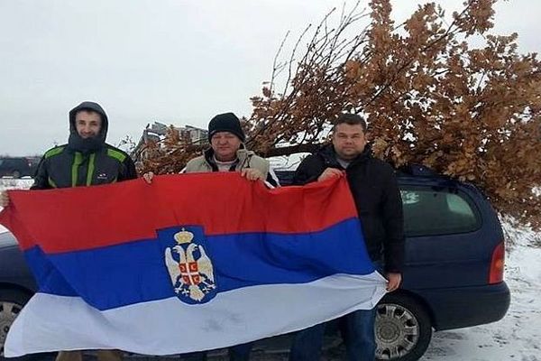 Naprednjaci kršili zakon sečenjem zaštićenog hrasta na Fruškoj gori, pa posle brisali slike (FOTO)