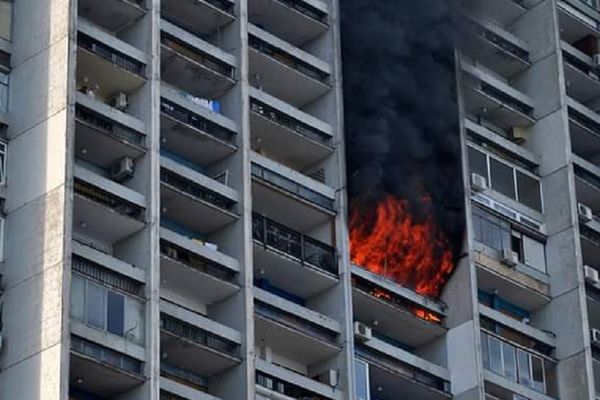 Lokalizovan požar u Zemunu! Nema povređenih! Vatrogasci se još bore sa vatrom (FOTO)