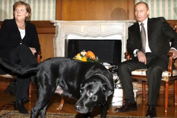 Vladimir o Angeli: Izvinio sam se zbog kučke (FOTO) (VIDEO)