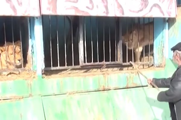 Koji to grad ima najgori zoo vrt na svetu? Ne, nije Beograd! Da, odatle su Kardašijani (VIDEO)