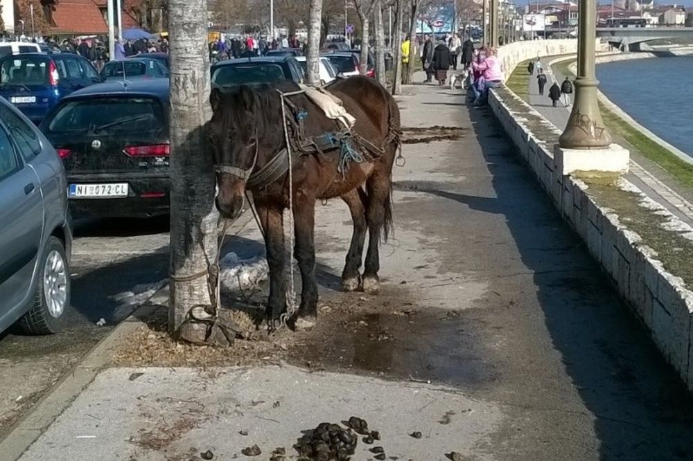 Nije Divlji Zapad, ovo je centar Niša! Nećete verovati šta je parkirao ispred Tvrđave! (FOTO)