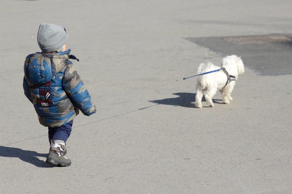 Klima je potpuno poludela: Težak minus, pa proleće, pa vrelo leto kakvo ne pamtimo!