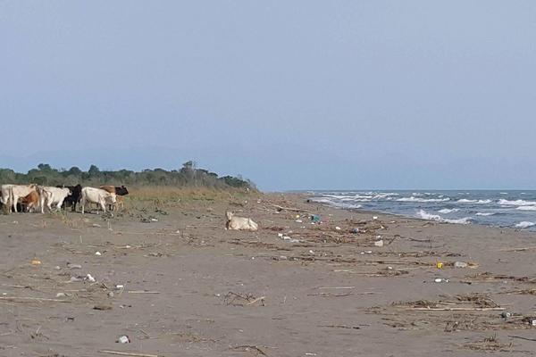 Hit fotka s Ade Bojane: Ovakve turistkinje niste videli (FOTO)