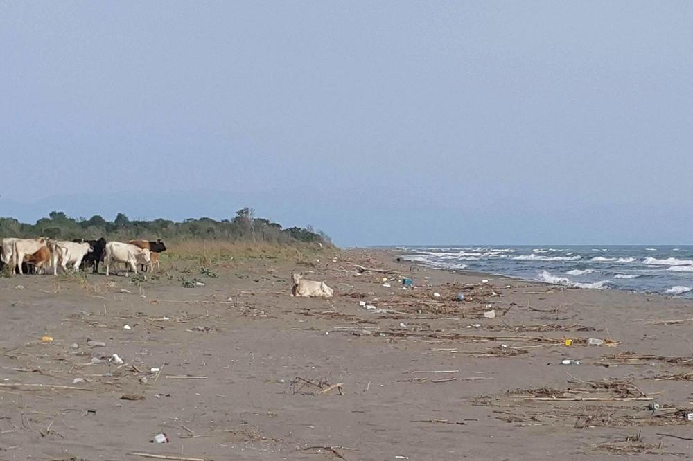 Hit fotka s Ade Bojane: Ovakve turistkinje niste videli (FOTO)