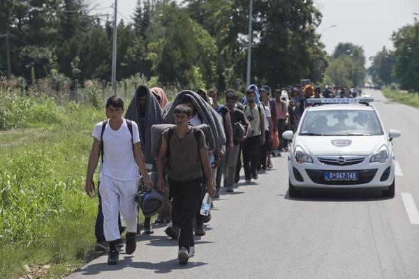 Migranti koji su pešačili do Horgoša štrajkuju glađu!