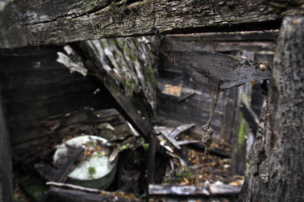 Uđite, ako smete! Ovde živi najkrvoločniji srpski vampir, mesto je prava jeza! (FOTO) (VIDEO)