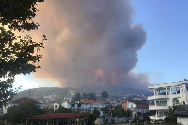 Palili gume, pa izazvali požar! Dve osobe uhapšene zbog ulcinjske stihije (VIDEO)