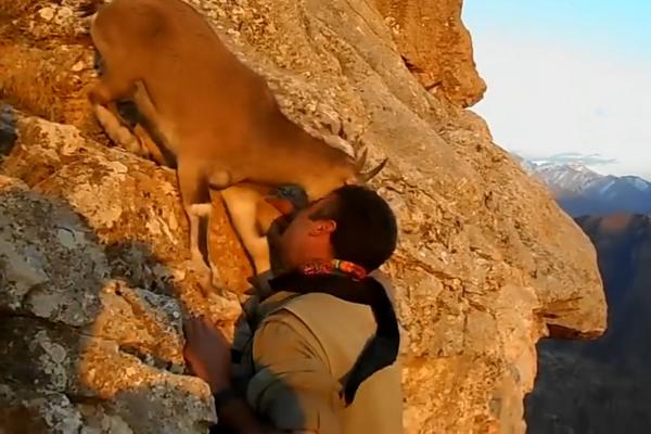 DA LI ĆE TO BITI JARETINA ZA VEČERU? Dirljiv susret kurdskog vojnika sa divokozicom (VIDEO)