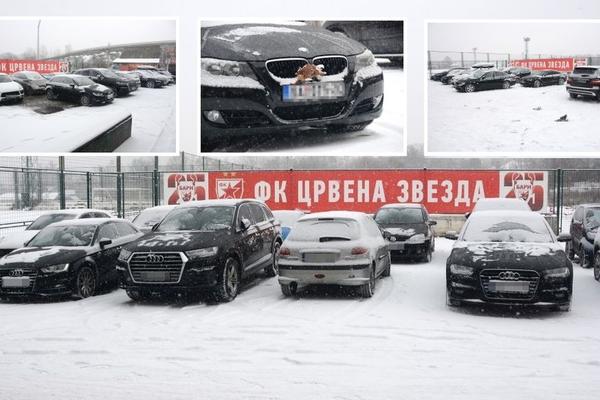 MEČKE, AUDIJI, BEMBARE: Parking na Marakani vredi pola miliona evra, a ima i onih koji voze autiće! (FOTO)