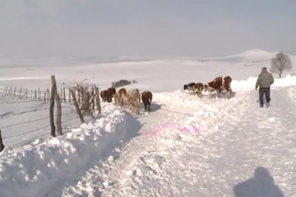 POTRESNI SNIMCI IZ SRPSKOG SIBIRA: Ovde temperature idu do -30, ljudi jedva preživljavaju! (VIDEO)