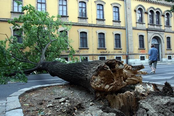 DRVO UBILO 18 OSOBA: Kupali se u jezeru, a onda se desio horor!