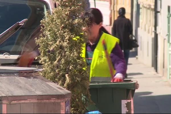 ROŽIKA SVAKI DAN ČISTI CENTAR NS: Sugrađani su joj spremili IZNENAĐENJE koje nikada neće zaboraviti (FOTO)