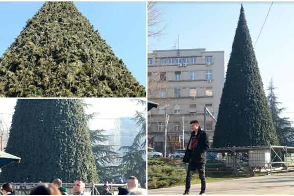 Ova beogradska jelka je skuplja od pompezne jelke na Trgu! RAZBESNEĆE VAS NJENA CENA, A TEK STANJE U KOME SE NALAZI! (FOTO)