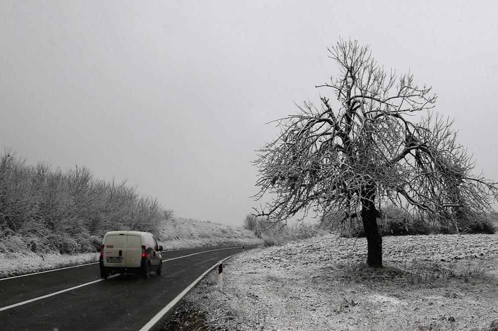 MALA VENECIJA USRED SRBIJE! Evo zašto treba da posetite Knjaževac!