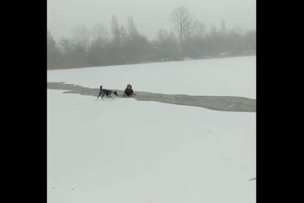 PAS SE DAVIO U ZALEĐENOM JEZERU! Onda je došla ona i ZAPRTEPASTILA SVET SVOJIM POSTUPKOM! (VIDEO)