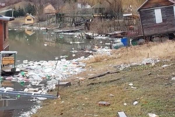 JEZERO GAZIVODE KAO SMETLIŠTE: Deponija puna đubreta, a često isplivaju i mrtve krave (VIDEO)