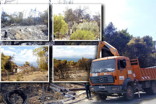 (EKSKLUZIVNO) SRBIN IZ VATRENOG PAKLA GRČKE ZA ESPRESO: Plameni stubovi su GUTALI SVE, začulo se samo BEŽI, BEŽI! (FOTO)