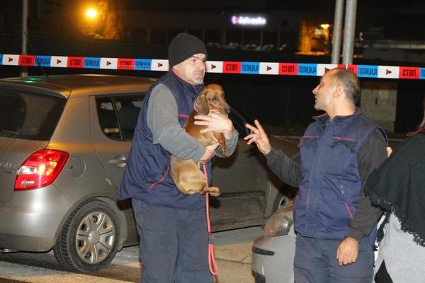 VOZAČ POGINUO NA LICU MESTA, A ON ČUDOM PREŽIVEO STRAVIČNU NESREĆU: Bio je u gepeku, prošao bez povreda! (FOTO)