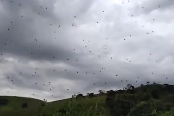 NEBO SU PREKRILE ČUDNE CRNE TAČKE! Kada su shvatili šta je to, meštani su pretrnuli od STRAHA! (VIDEO)