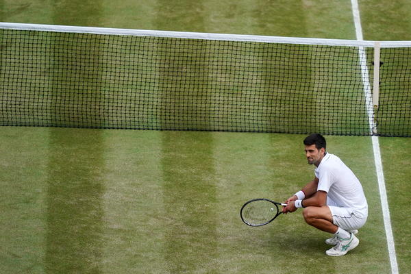 NOVAK NIJE PRIRODAN, KAD JEDE TRAVU JE ISCENIRANO: Vilanderova koleginica objasnila zašto ljudi ne vole Đokovića!