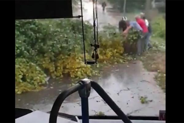 NEBO JE PUCALO, JAKO NEVREME OBORILO DRVO KOD KRUŠEVCA! Putnici autobusa uspeli da ga pomere s puta (VIDEO)