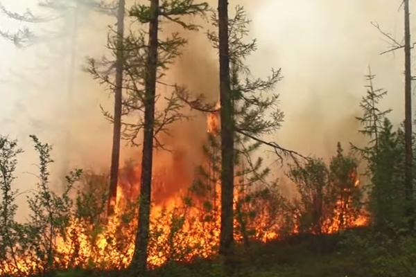 GORE NAJHLADNIJI DELOVI SVETA! Arktik i Sibir U PLAMENU, ovo je znak da su čoveku odbrojani dani! (VIDEO)