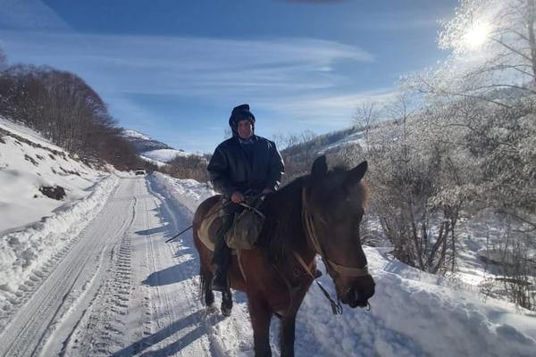 U IVANJIČKIM SELIMA SU JEDINO PREVOZNO SREDSTVO TRAKTOR I KONJ! Dragiša samo tako može NA SEOSKU SLAVU (FOTO)