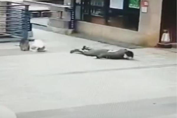 LJUDI PADAJU PO ULICI, KORONAVIRUS NOSI SVE PRED SOBOM! Isplivali šok snimci ZARAŽENIH! (VIDEO)