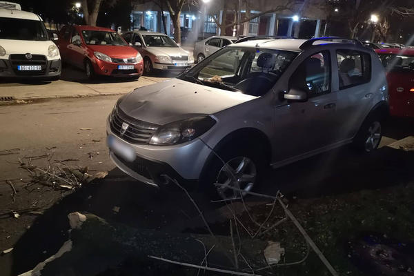 OD VELIKOG VETRA PUKLA GRANA I POLOMILA MU AUTO: Horor u Bloku 38, NEKO JE MOGAO DA POGINE! (FOTO)