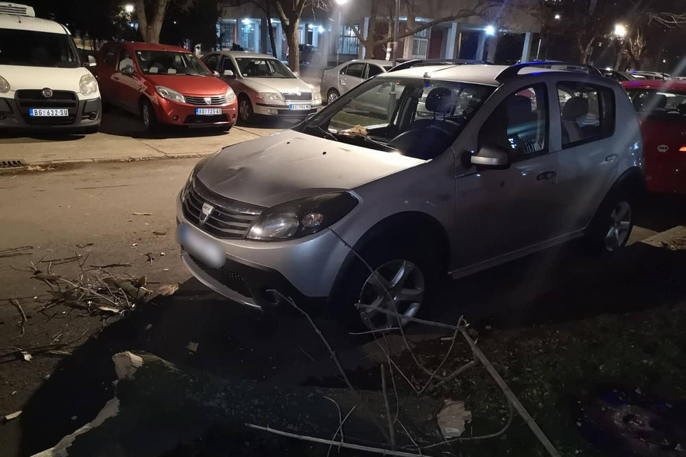 OD VELIKOG VETRA PUKLA GRANA I POLOMILA MU AUTO: Horor u Bloku 38, NEKO JE MOGAO DA POGINE! (FOTO)