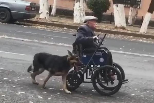 OVAJ PAS JE JEDINA PORODICA NEPOKRETNOM DEKI: Ono što je uradio za njega na ulici je dirnulo mnoge ljude! (VIDEO)