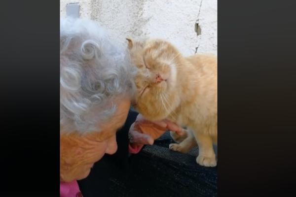 OVA ITALIJANSKA BAKA JE U HAOSU IZGUBILA VOLJENOG MAČKA: Snimak njihovog ponovnog susreta mami OSMEHE (VIDEO)