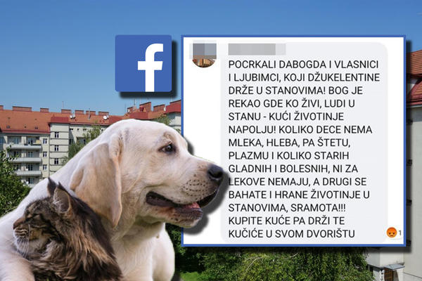 POCRKAJTE! DECA NEMAJU PLAZMU, A VI SE BAHATITE TAKO ŠTO HRANITE ŽIVOTINJE U STANOVIMA! Velika briga male gospođe!