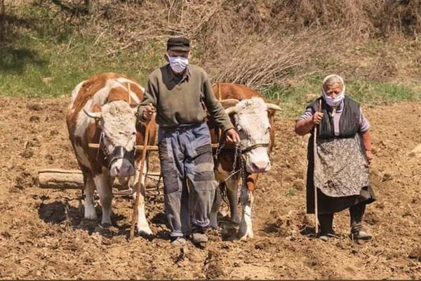 FOTOGRAFIJA IZ SRBIJE PROGLAŠENA ZA SLIKU DANA U SVETU: Da li je ovo najpotresnije lice pandemije korone? (FOTO)