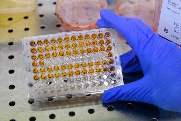 U OVOJ ZEMLJI JE JEDNA OD 15 OSOBA BILA ZARAŽENA KORONOM: Testovi na antitela otkrili sve