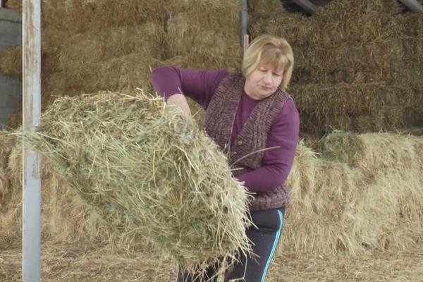 BRANKA JE PRAVI SRPSKI DOMAĆIN: Muž joj je prepustio gazdinstvo, i UOPŠTE MU NIJE ŽAO! (FOTO)