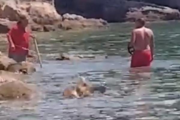 HRVAT PRISVOJIO PLAŽU, PA LOPATOM NAPAO TURISTU: Uhvatio se za polni organ, a kroz megafon psovao kupače (VIDEO)