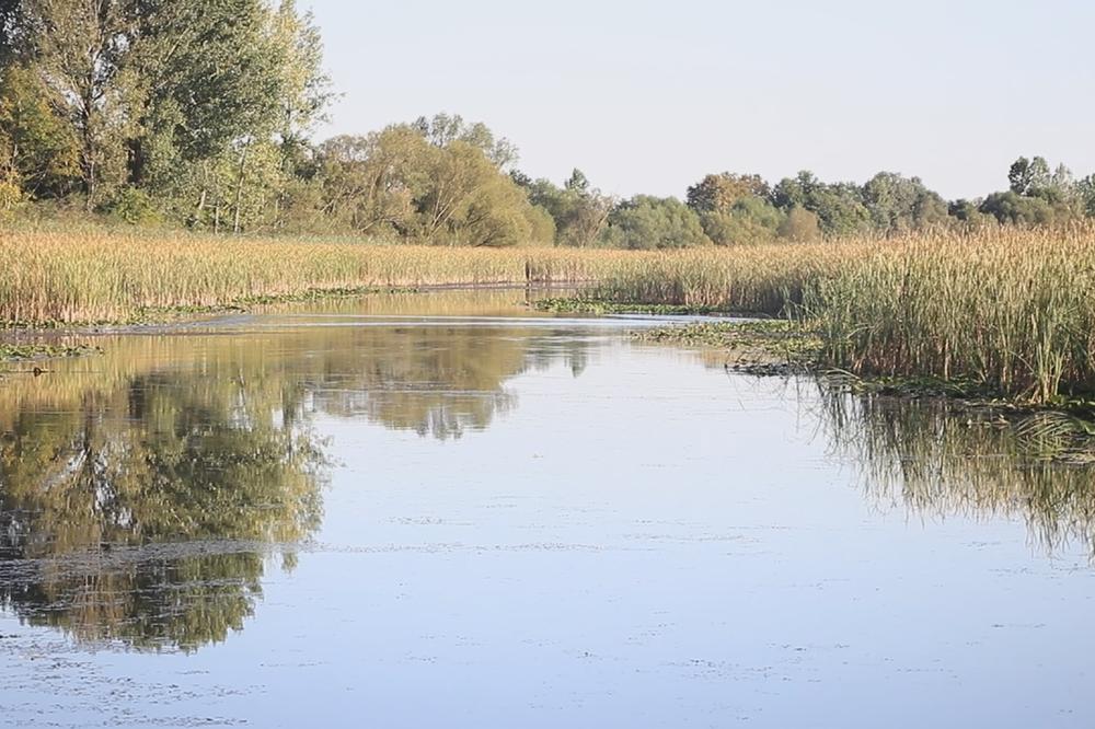 OVAKVU OAZU MIRA NEMA NIKO, A NA SAT VREMENA JE OD BEOGRADA: Idealna za vikend odmor, tamo ne postoje GUŽVA I BUKA