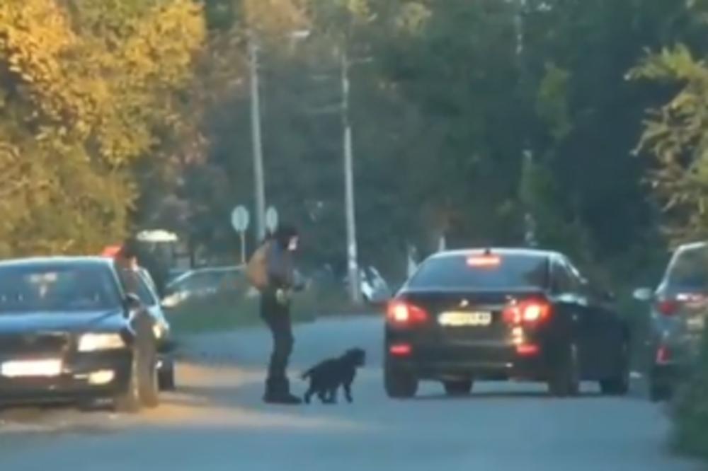 JEZIVO! SLOBODA MIĆALOVIĆ ŠUTIRA SVOG PSA NA ULICI: Ovo niko nije očekivao! (VIDEO)