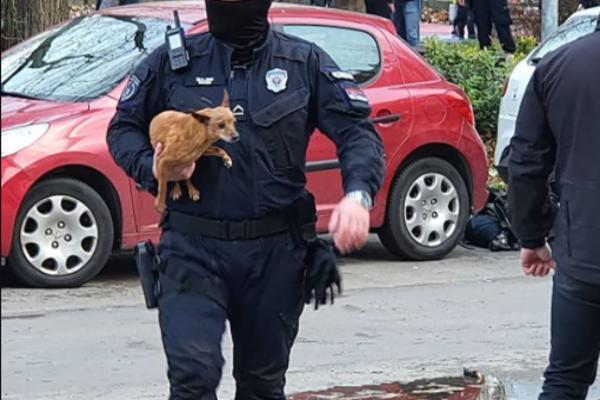 SLIKA KOJA JE OBELEŽILA DANAŠNJI DAN U SRBIJI: Iz požara su izvukli i ovog MALOG ŽUTOG! (FOTO)