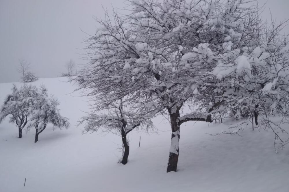 VANREDNA SITUACIJA U JOŠ JEDNOM GRADU U SRBIJI: Zavejana sela, veliki broj mališana izostao sa nastave! (FOTO)