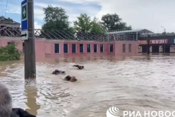 SNAŽNO NEVREME POGODILO KRIM! Vanredno je stanje, kiša pada li pada, TRAGIČNO (FOTO/VIDEO)