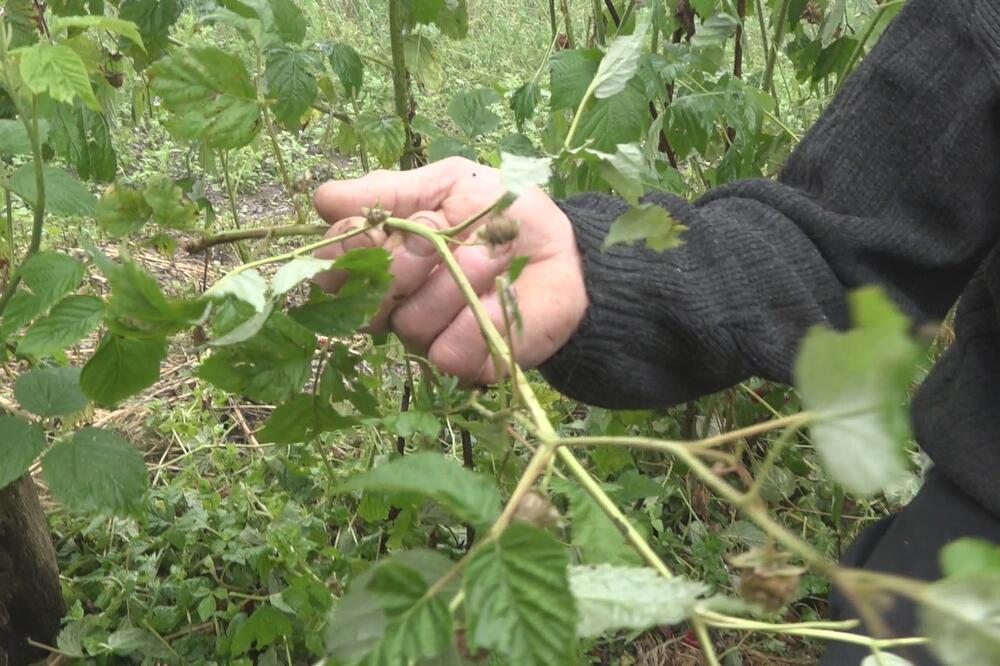 TOTALNA KATASTROFA NAKON NEVREMENA: Blagomiru iz sela Gleđica za 20 minuta otišlo oko 2 MILIONA DINARA (FOTO)