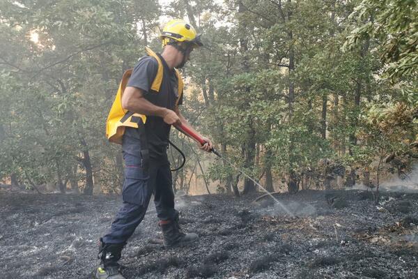 JOŠ JEDAN POŽAR IZBIO U OKOLINI NOVE VAROŠI: Gašenje otežavaju vremenski uslovi i nepristupačan teren! (FOTO)