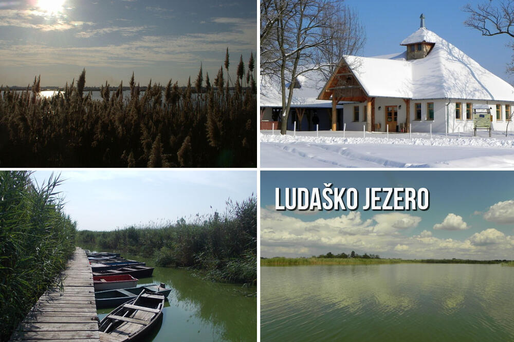 OVO MESTO U SRBIJI JE OD SVETSKOG ZNAČAJA! Tu raste močvarna orhideja, a o ŽIVOTINJAMA i da ne pričamo! (FOTO)